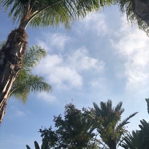 Meet your Posher, Sonja